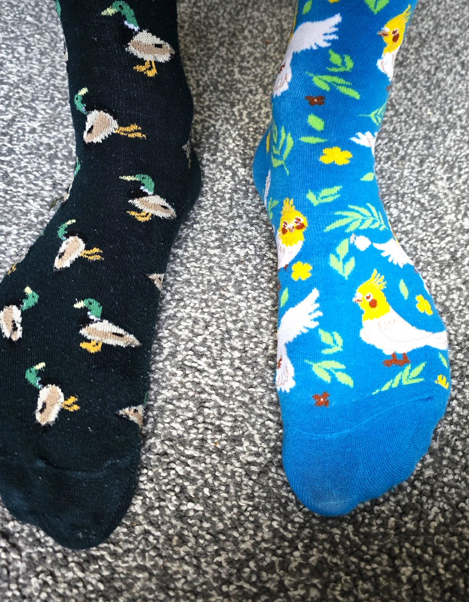 NTU Psychology (@psychologyntu) on Twitter photo It's #OddSocksDay🧦 an opportunity to celebrate peoples' individuality and what makes us all unique, part of <a href="/ABAonline/">Anti-Bullying Alliance #AntiBullyingWeek</a>'s #AntiBullyingWeek
We've got our odd socks on at <a href="/PsychologyNTU/">NTU Psychology</a>🧦😊 It's #OddSocksDay🧦 an opportunity to celebrate peoples' individuality and what makes us all unique, part of <a href="/ABAonline/">Anti-Bullying Alliance #AntiBullyingWeek</a>'s #AntiBullyingWeek
We've got our odd socks on at <a href="/PsychologyNTU/">NTU Psychology</a>🧦😊