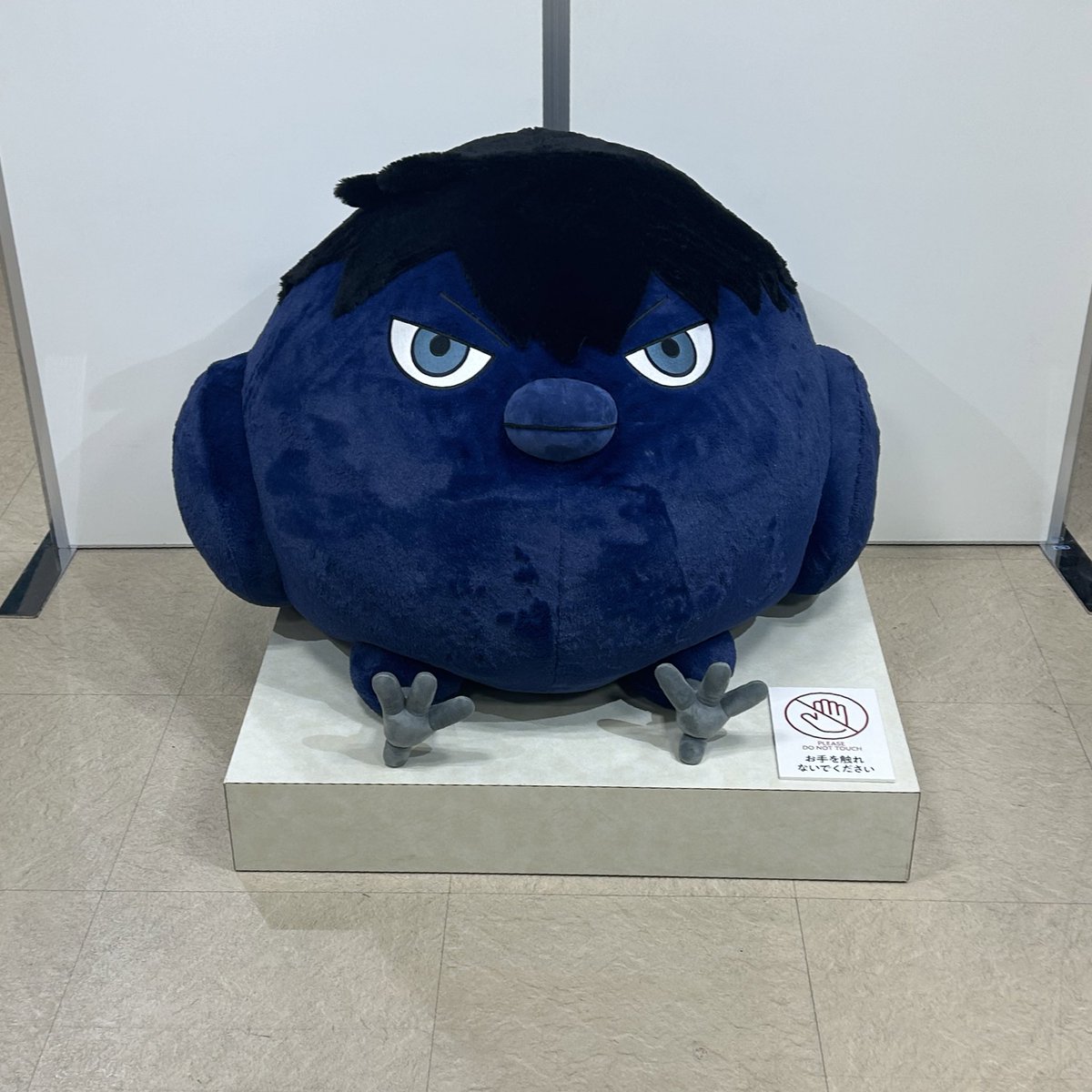 sai_nn11's tweet photo. 行ってきた 最高すぎる https://t.co/m9bVT8ul4x
