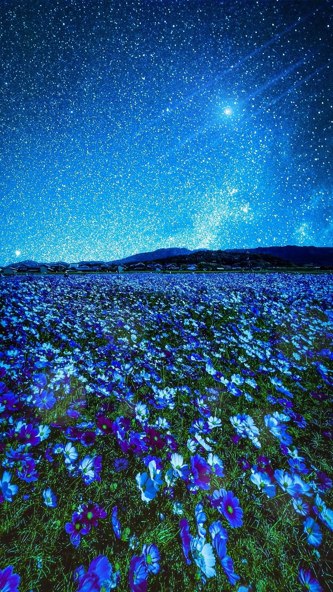 Sorani___Ao's tweet image. 朝が来ないままで息が出来たなら。