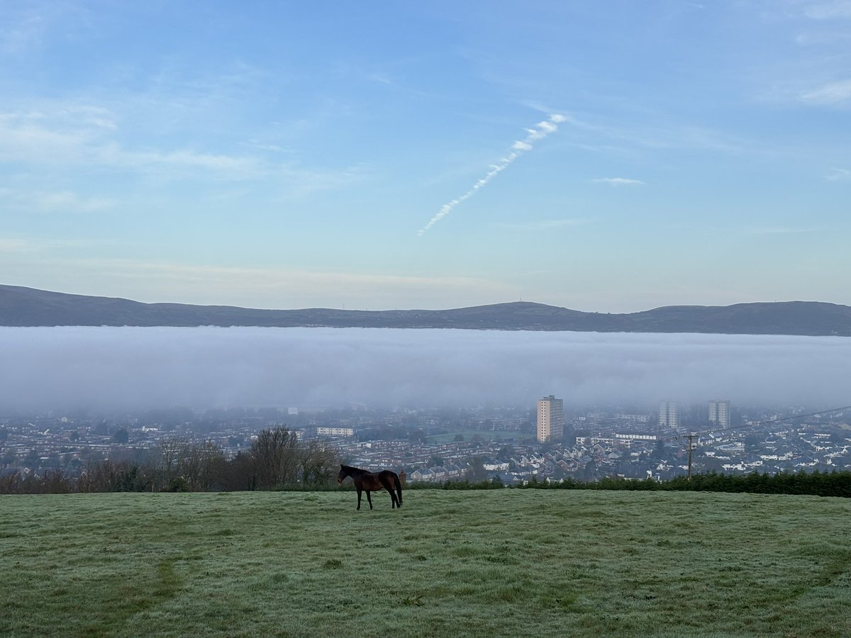 A!dan McPeake tweet media