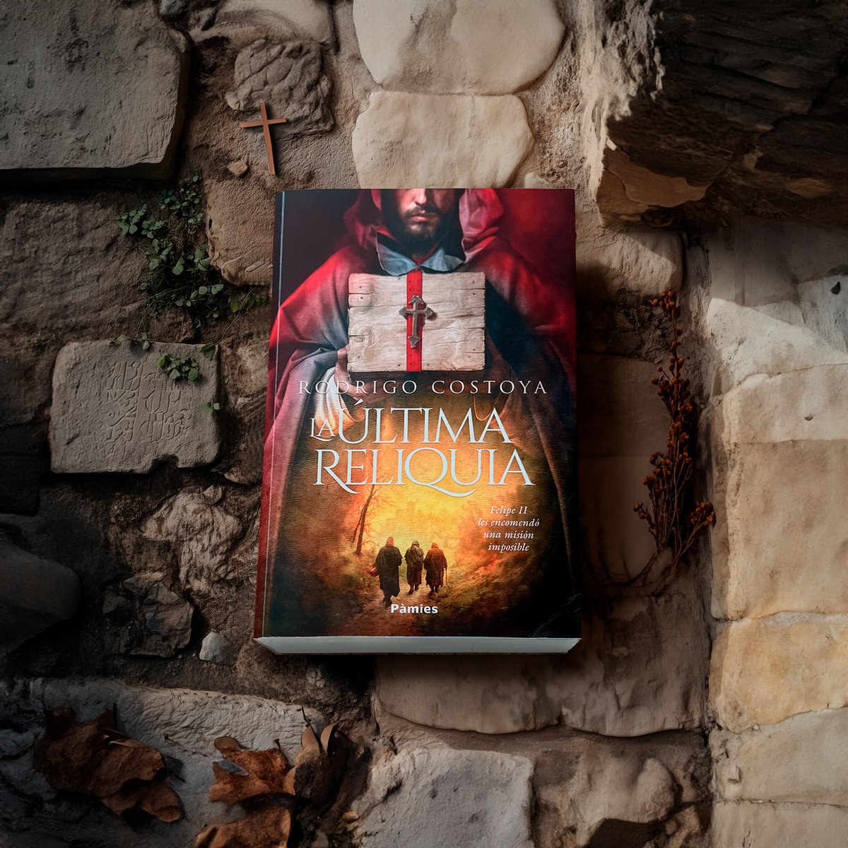 Momoko 🏳️‍🌈 tweet media