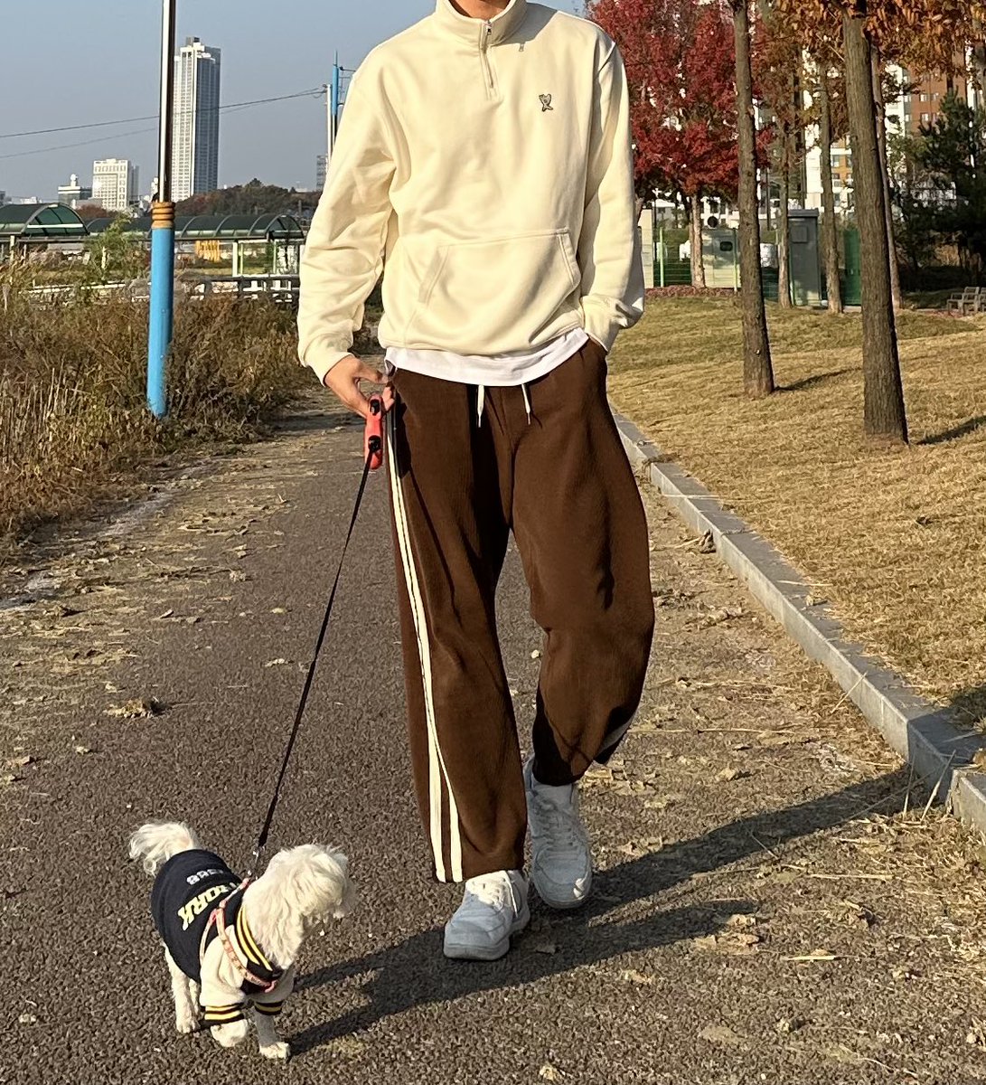 Labli_bli's tweet photo. 카메라 봐야지 별이야🐕 https://t.co/SuUVcl46xv