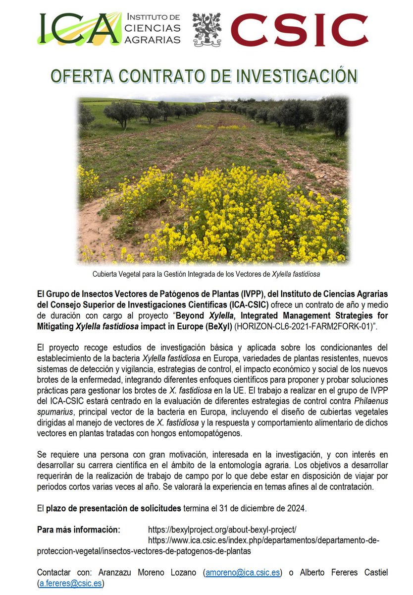 Soc Es Fitopatologia tweet media