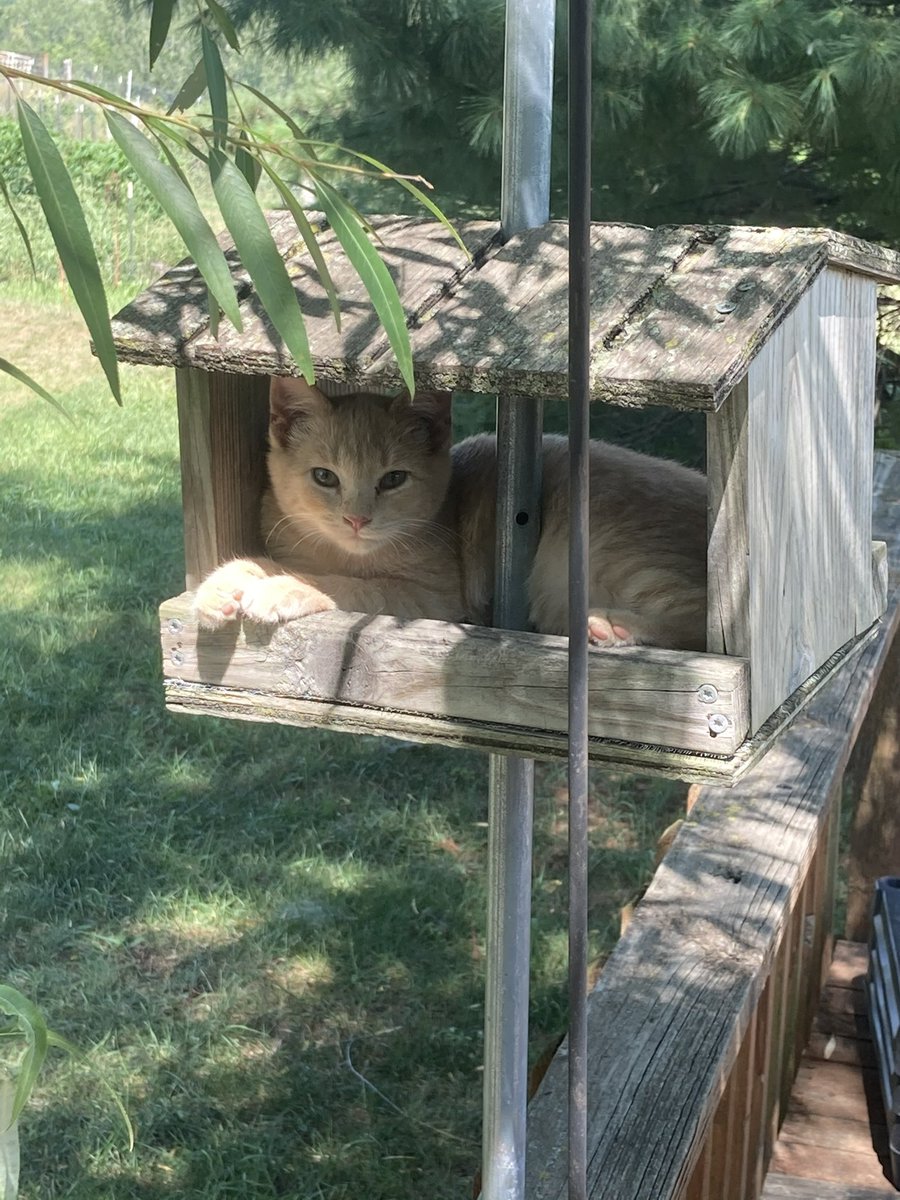 Rob 🖖🏼 tweet media