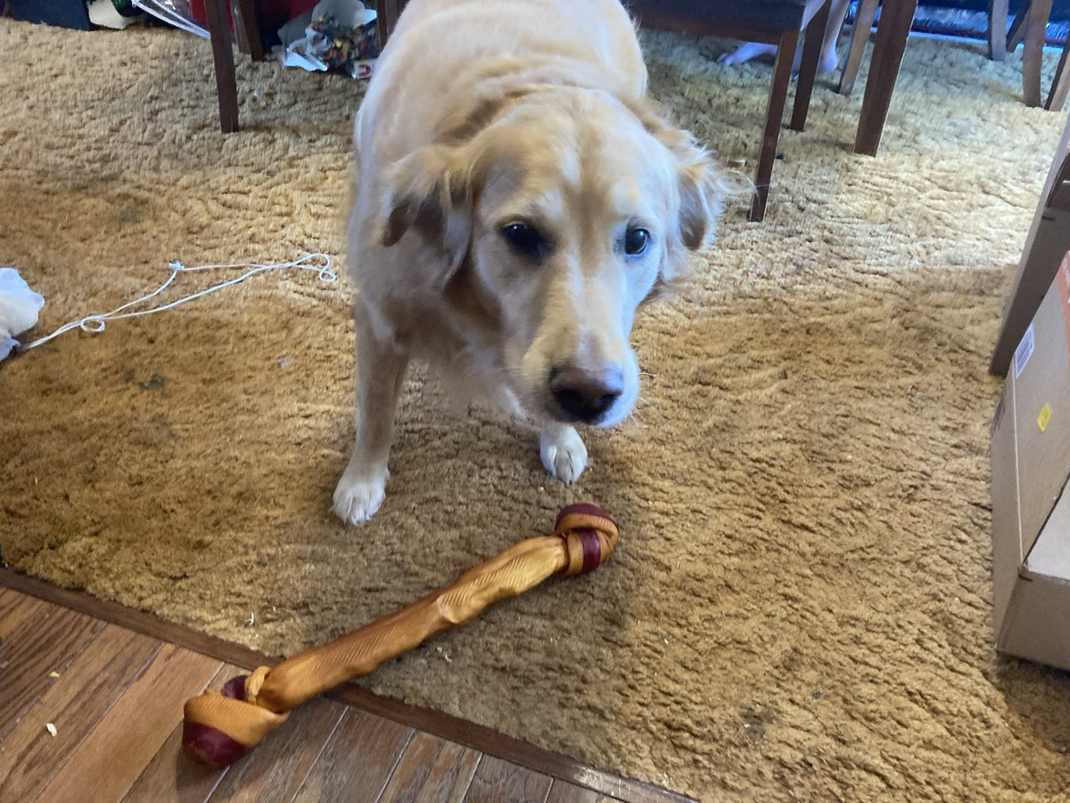 Rob 🖖🏼 tweet media