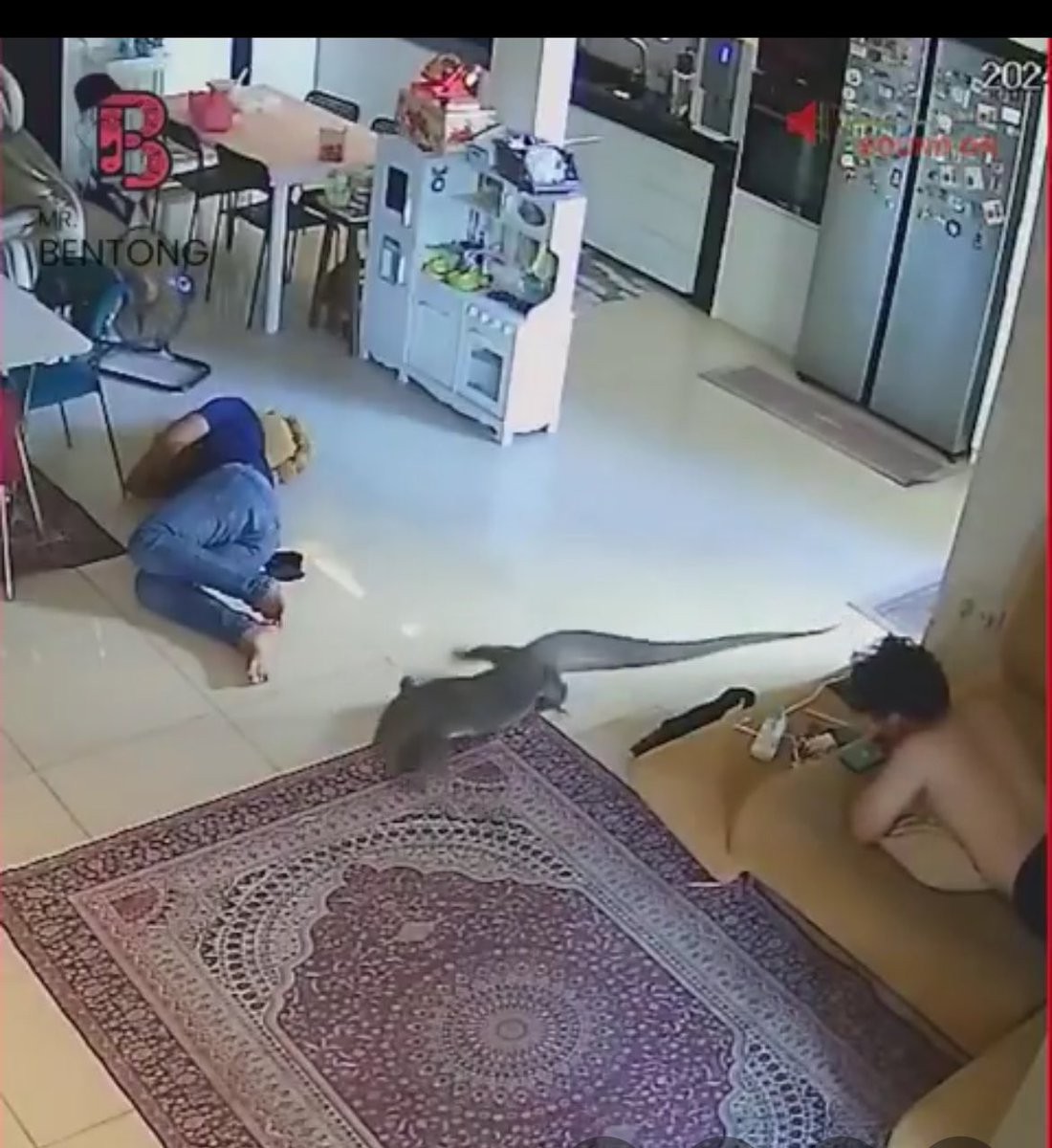 Just imagine wanaume wa Dasilamu walikimbia nyuki -ingekuwaje hiki kisanga 😂😂
Video kwenye komenti.