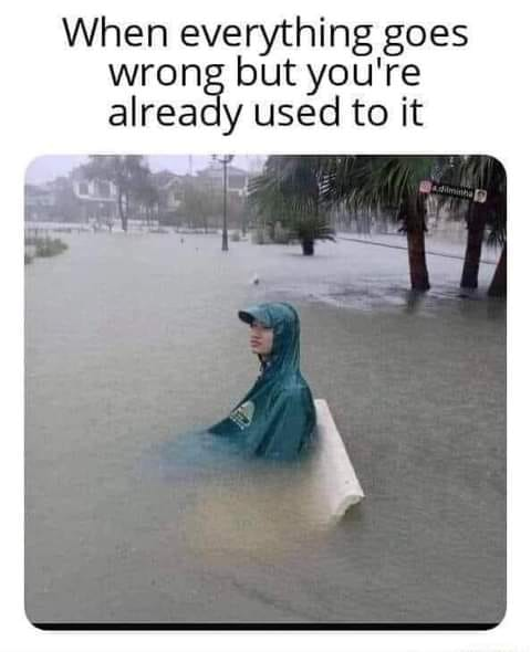 Richard Kamchen (@rkamchen) on Twitter photo 