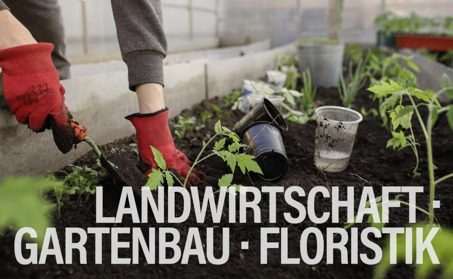 Wieso arbeitet eine Gewerkschaft demokratischer als NGOs? Was bedeutet es, dass wir mehr Arbeitnehmer als Bauern in der Landwirtschaft haben? Wie wirkt sich Fachkräftemangel aus? Ich durfte zu diesen Fragen beim Podcast Umbruch-Landwirtschaft sprechen umbruch-landwirtschaft.de/benjamin-luig-…