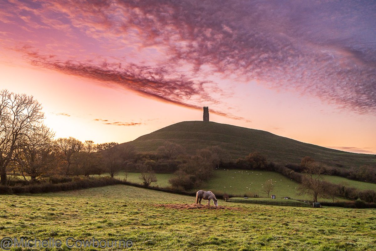 Michelle Cowbourne tweet media