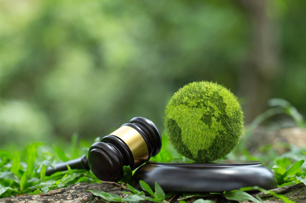 Alle ogen van @WURLaw zijn vandaag gericht op Den Haag, waar twee belangrijke ‘groene’ zaken op de rol staan: de CO2-zaak tegen #Shell en de #stikstof-zaak van Greenpeace tegen de Nederlandse staat. Beide zaken kunnen wereldwijd van betekenis zijn. resource-online.nl/index.php/2024…