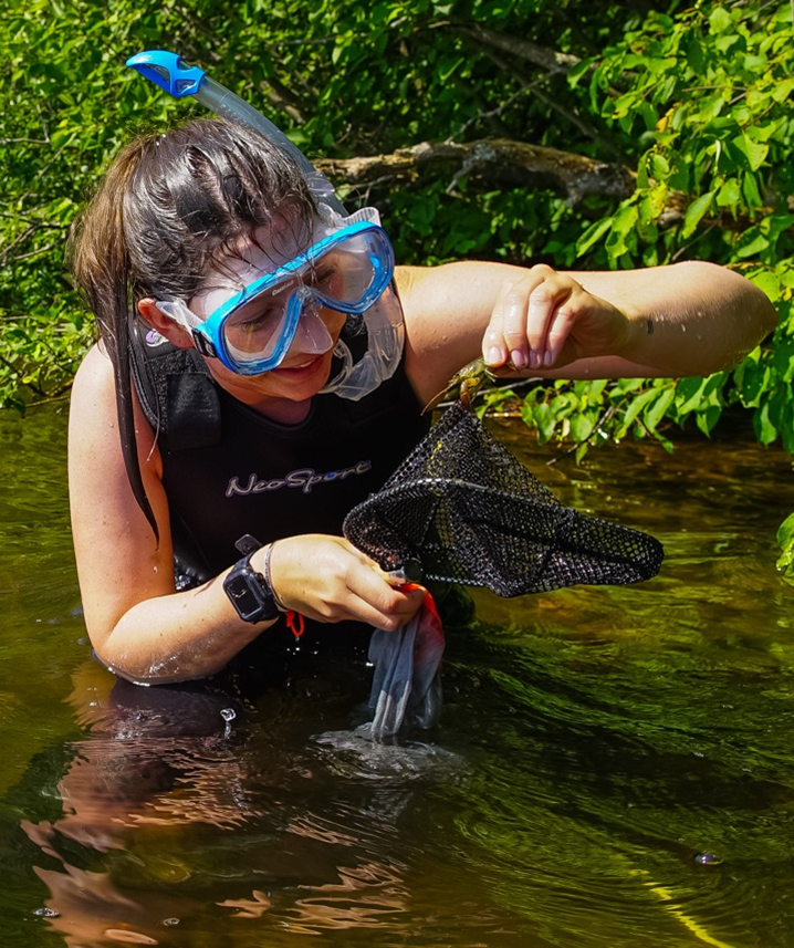 Dr Jamie Bojko ππ¦π¦π¦π¦π³οΈβπ (@jamiebojko) on Twitter photo CONGRATULATIONS to <a href="/CheyStratton1/">Cheyenne Stratton</a> first author of this brilliant new paper on crayfish microsporidians in #FungalDiversity <a href="/SpringerEcology/">Springer Ecology</a>
We explore an emerging pathogen of #crayfish, plus new #genomes! π¦
link.springer.com/article/10.100β¦
Research conducted: <a href="/UF/">FLORIDA</a> <a href="/TeesUniSHLS/">@TeesUniSHLS</a> <a href="/TU_NHC/">National Horizons Centre</a> CONGRATULATIONS to <a href="/CheyStratton1/">Cheyenne Stratton</a> first author of this brilliant new paper on crayfish microsporidians in #FungalDiversity <a href="/SpringerEcology/">Springer Ecology</a>
We explore an emerging pathogen of #crayfish, plus new #genomes! π¦
link.springer.com/article/10.100β¦
Research conducted: <a href="/UF/">FLORIDA</a> <a href="/TeesUniSHLS/">@TeesUniSHLS</a> <a href="/TU_NHC/">National Horizons Centre</a>
