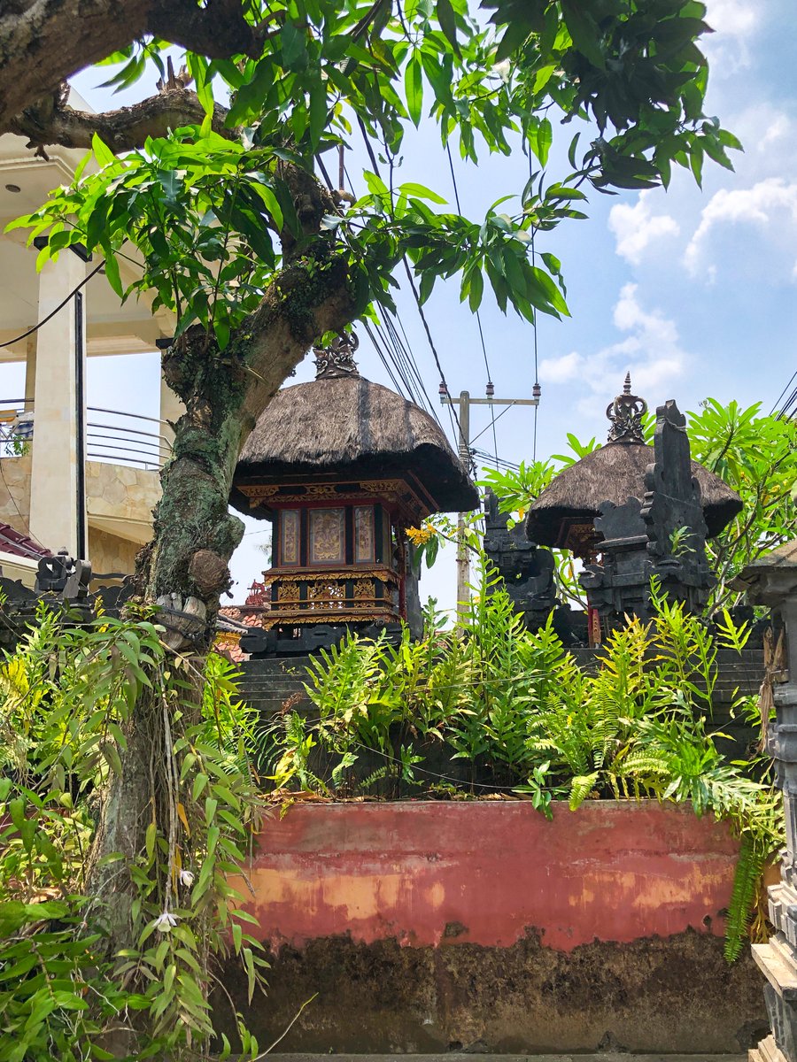 kotonoha741hz's tweet photo. 昨日のBali🌴

飽きない景色
秋無い景色……

日本は今秋景色だよね？

 #BaliLife https://t.co/tR14G2WnY8