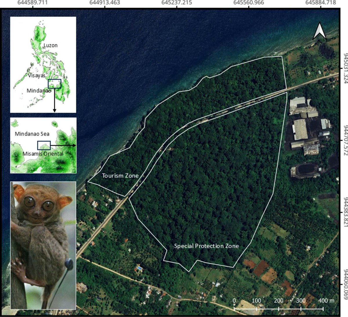 New article: Ranging Behavior of Philippine Tarsiers (Carlito syrichta) Inhabiting a Protected Forest Fragment in Misamis Oriental, Mindanao: Implications for Monitoring Nocturnal Primates by Bejar and colleagues link.springer.com/article/10.100…. Free to read here rdcu.be/dZVI5