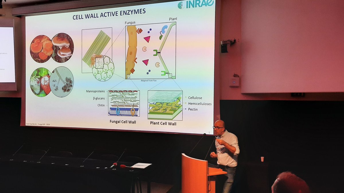 ifudal's tweet image. This year, our invited speaker is Jean Guy Berrin @jgberrin @BBFlab on Fungal carbohydrate enzymes #FungIDF