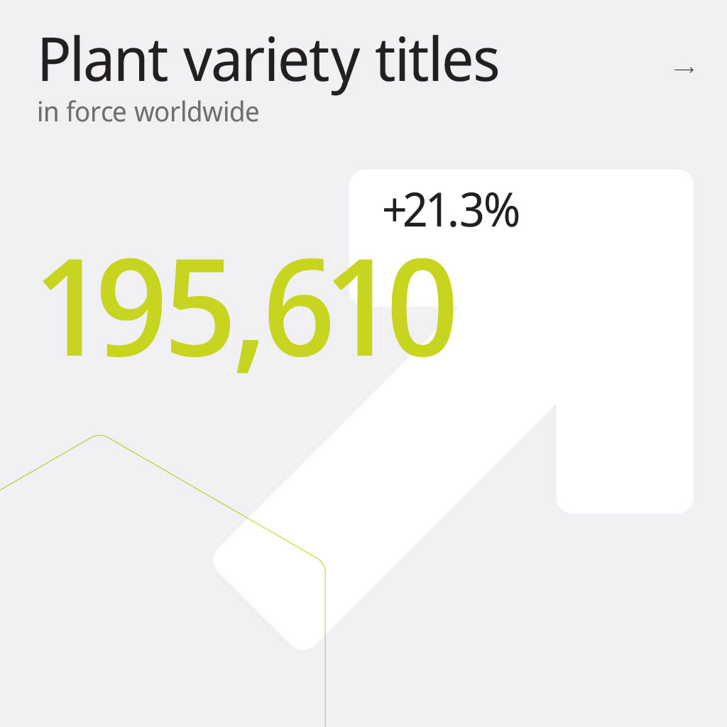 Global plant variety applications led all IP growth by the end of 2023! An 80% increase over 8 years now means nearly 200,000 PVP titles in force worldwide.

Tap the images to explore the insights and read the full PVP report here: upov.int/news/en/pdf/wi…

#NewPlantVarieties
