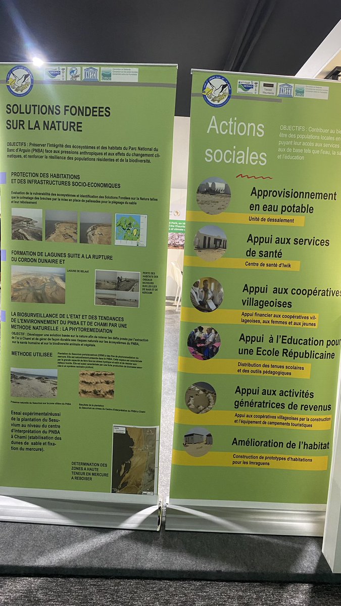 Présence remarquée du PNBA à la COO29

Les travaux de la Conférence des parties (COP 29), ont débuté depuis hier à Baku, en Azerbaïdjan. 
Le PNBA est représentée par une forte de délégation, conduite par son Directeur, M. Nami Salihy.