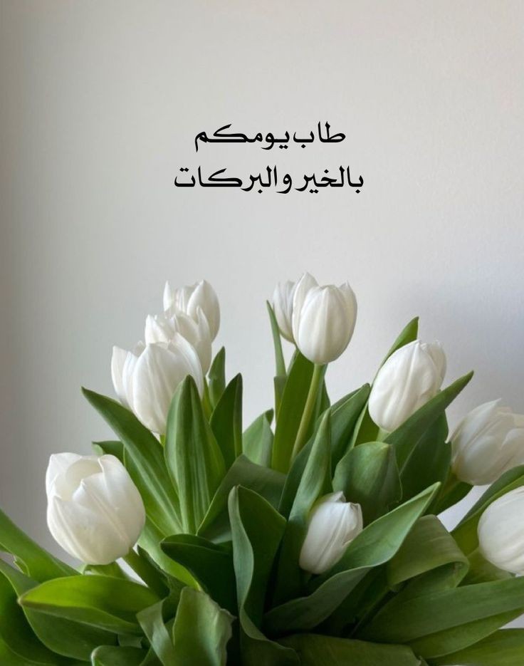 منكم وإليكم 🍃 (@alsobhi098) on Twitter photo 