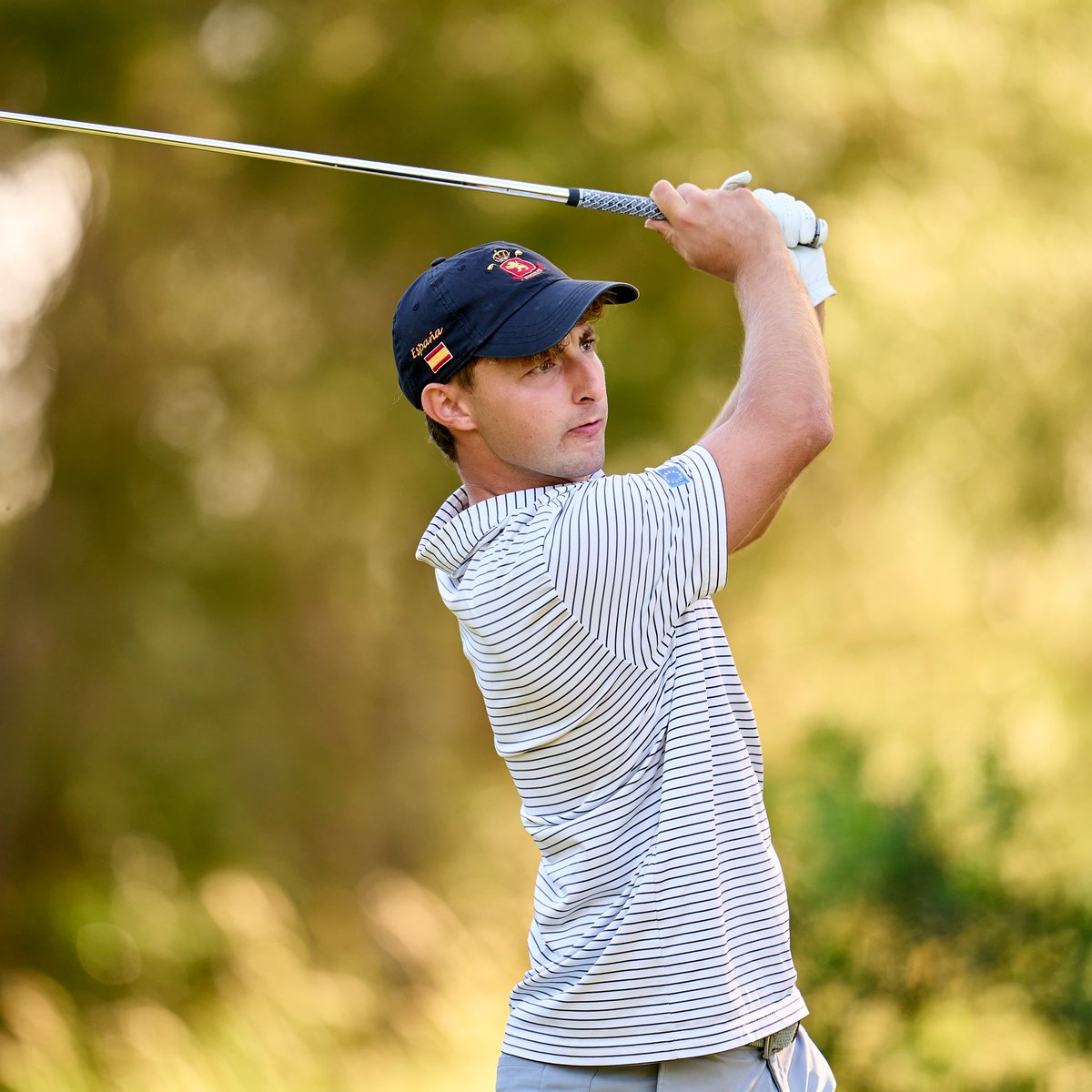 DPWTQSchool's tweet photo. 26 players that teed it up in First Stage earlier this year made the 72-hole cut yesterday. 

They all have a realistic chance to earn @DPWorldTour playing privileges with 36 holes remaining 👁️

#DPWTQSchool https://t.co/TA0A4RLNyo