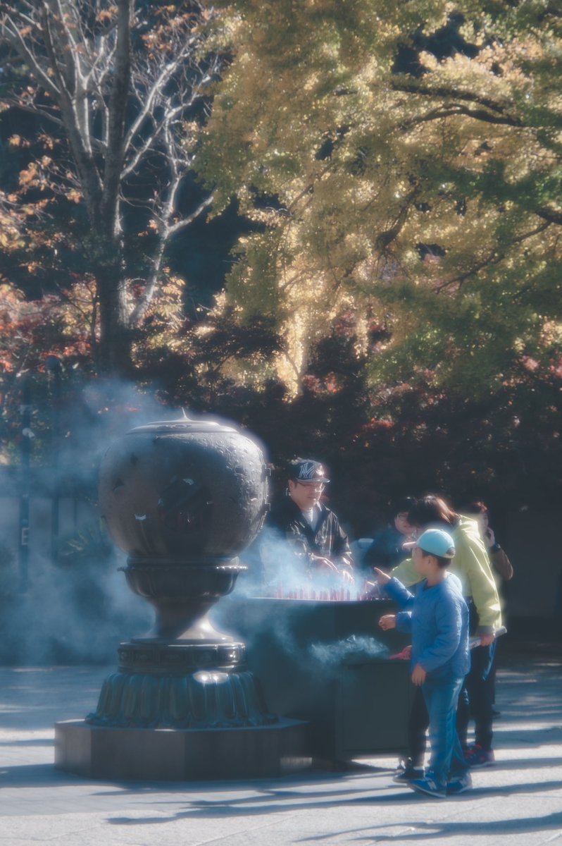 honokaichiryu's tweet image. 秋冬の空気感が好き。
#oldlens #takumar