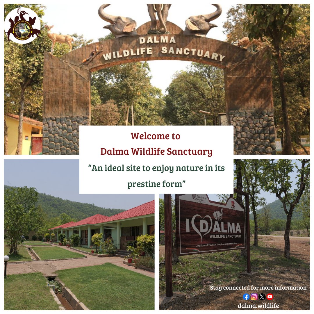 Dalmawildlife's tweet photo. A series of hills and valleys covered with beautiful forests.
#dalma #jamshedpur #dalmahills #dalmahillsjamshedpurindia #wildlife #wildlifesanctuary #room #roombooking #bookroom #nature #enjoynature https://t.co/TUGDKuJWyA