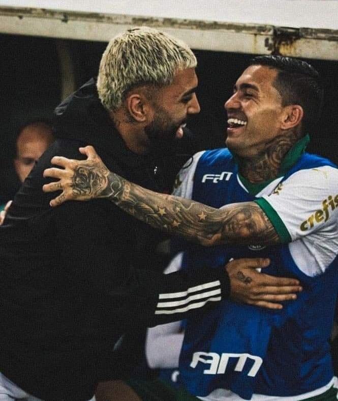 Dudu7Brasil's tweet photo. Vamos supor que o Palmeiras consiga dar um chapéu no timinho lá de BH e traga o Gabigol, estilo Dudu em 2015.

De 0 a 10, quanto você gostaria de ver o Baixola jogando junto com o atacante em 2025? https://t.co/z6sDMgCfQo