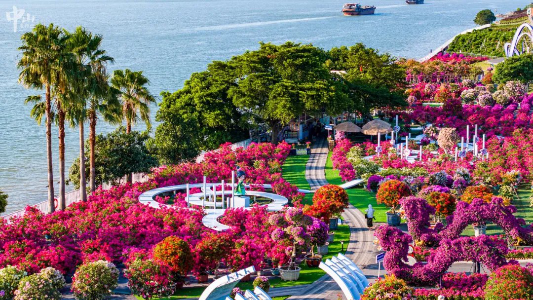 ThisisZhongshan's tweet photo. Even though the #StartofWinter has passed, glorious #Zhongshan is still bathing in the beauty of vibrant colors.🌼💐

The annual #China (Zhongshan) Flower & Tree Industry Conference is currently displaying a stunning array of blooms. Before Nov 22, you can head out there and step into a real-life "Monet Garden"!🍃 #ZhongshanEvents [📸/WeChat ID: zhongshanfabu] @SceneryofChina