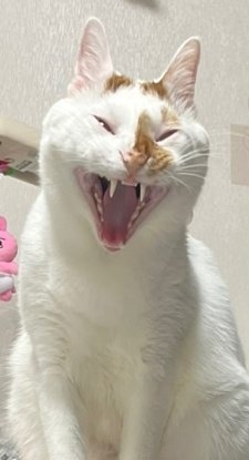 아 언니!!!!!!!!!!!!!!!