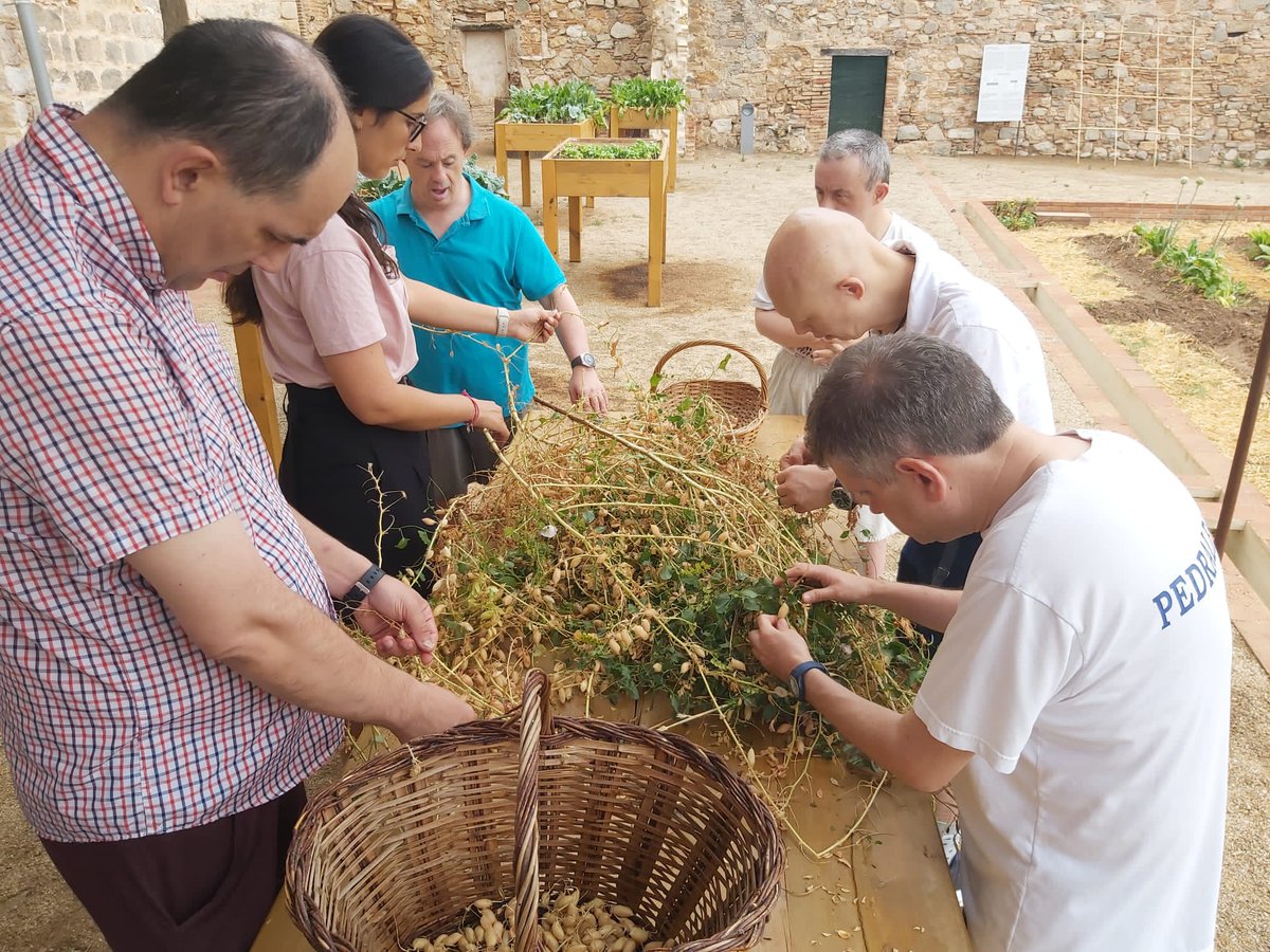 EurHeritageHub's tweet photo. Meet our local practices🤝The renovation of Monastery Santa Maria de Pedralbes Medieval Garden in Barcelona goes beyond archaeological recovery, engaging people with disabilities in daily operations. Join our #SharingLocalStories webinar on 15 Nov for + ➡️ https://t.co/AC8nM79RMt https://t.co/HqyGrIKtAn