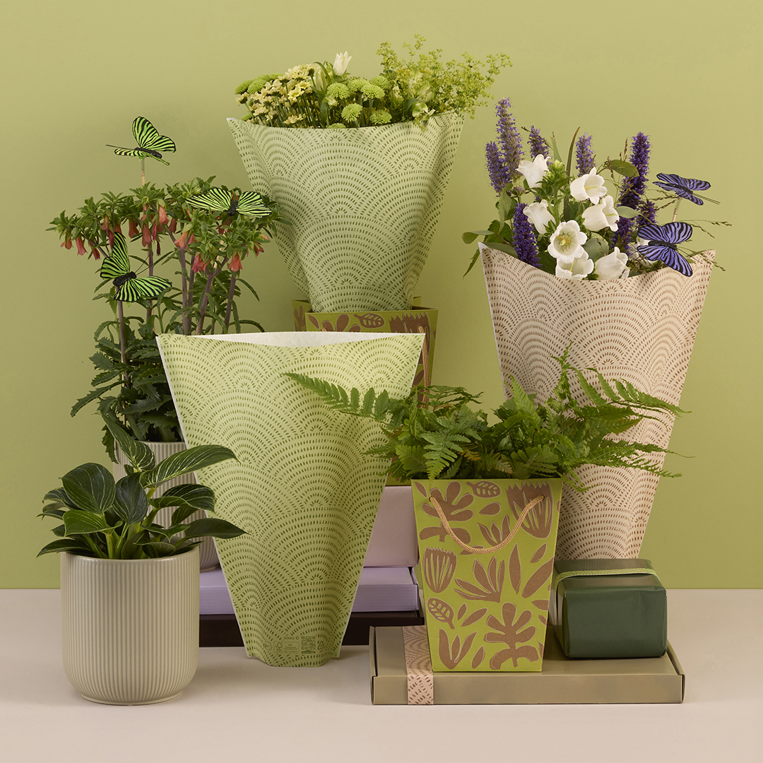 NIEUW: Boekethoes Sawa FSC® van wit kraftpapier met geometrisch design. Verkrijgbaar in 3 afmetingen en 2 kleuren. Lees er meer over in onze nieuwsbrief nieuwsbrief.koenpack.com/t/t-B943329FCB…

#boekethoes
#sawahoes
#bloemenhoezen
#verpakkingenvoorbloemenenplanten 
#papierenhoes
#koenpack