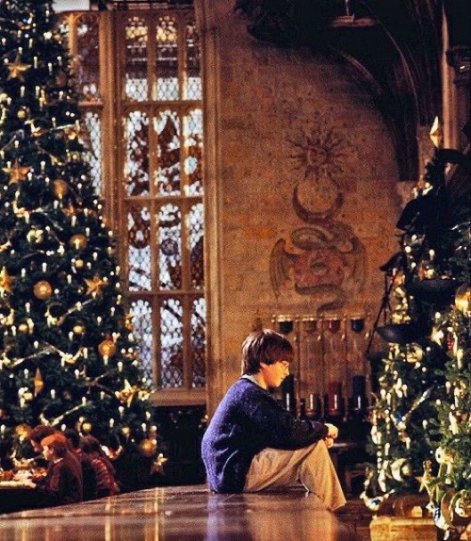 ExpHogwartsBr's tweet photo. Já em clima de Natal https://t.co/dQjGrsxNpN