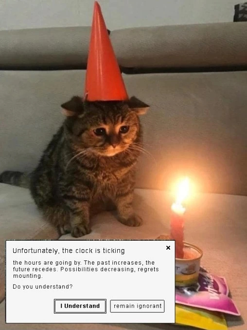 Oliver H.G. Mason 📉 tweet media