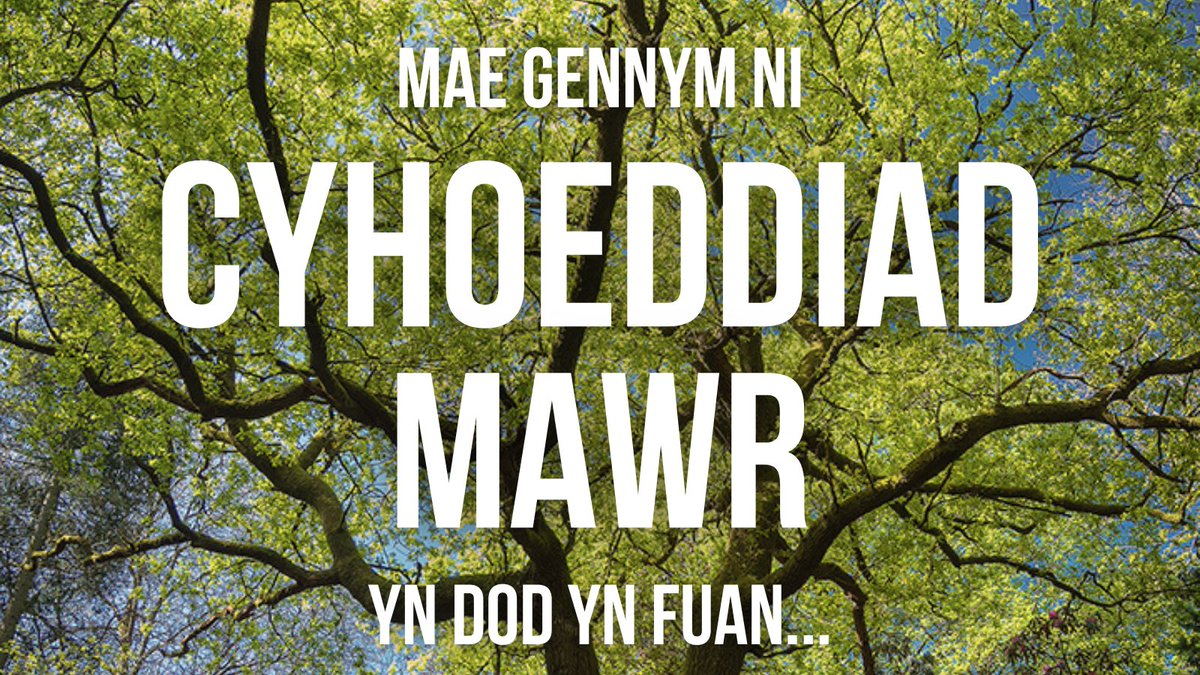 We have something VERY exciting to share this week…! 🤩

Sign up to our mailing list to find out more!

tirnatur.cymru/mailing-list-s…

Mae gennym ni rywbeth cyffrous iawn i’w rannu…! 🤩

Cofrestrwch ar gyfer ein rhestr bostio i ddysgu mwy!

📷 Mike Richards