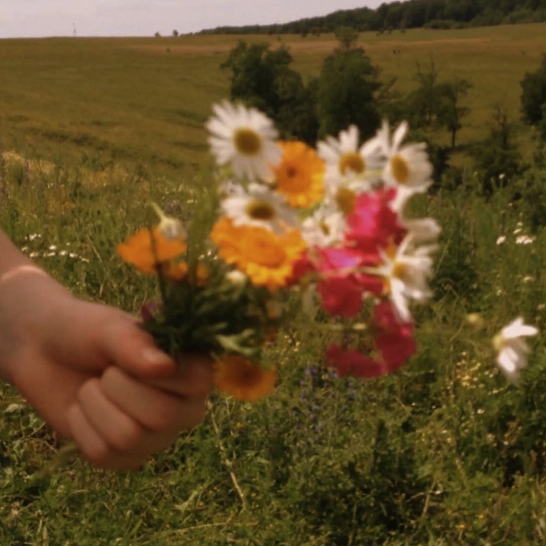 ᅠ ᅠ (@greendreaams) on Twitter photo 