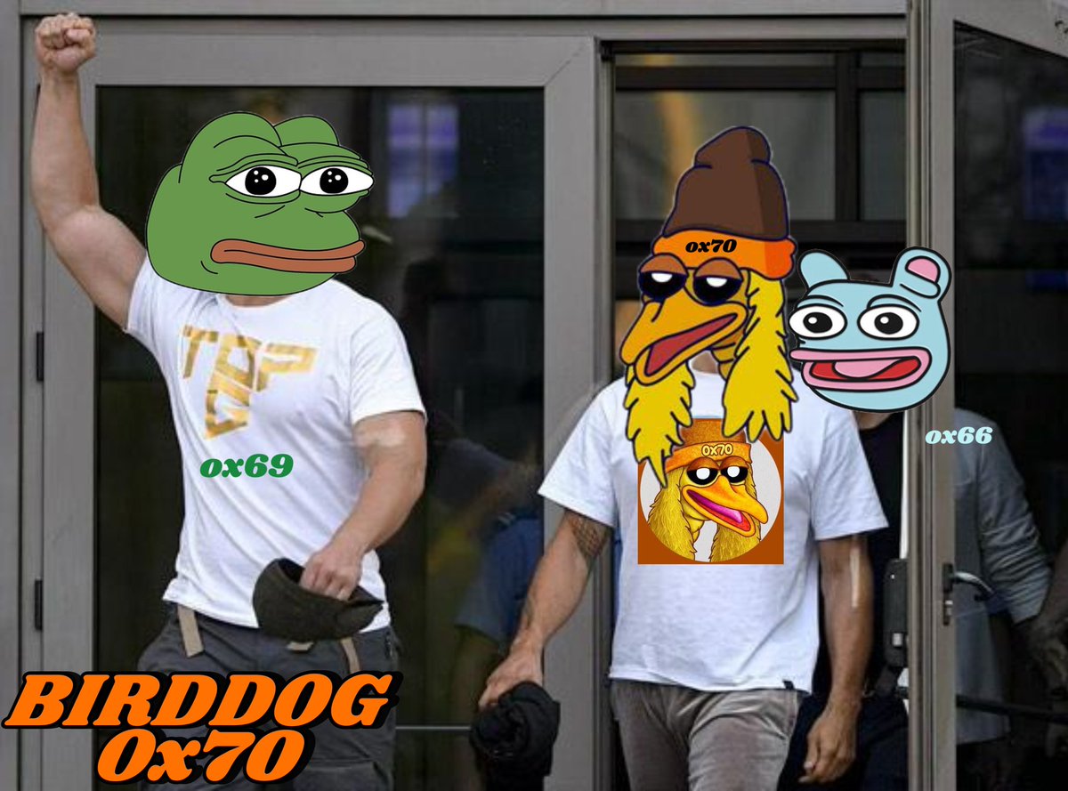 spirakosOG's tweet photo. @EthBirdDog #BIRDDOG
#Ox70 all the way https://t.co/RjQl0q05nd