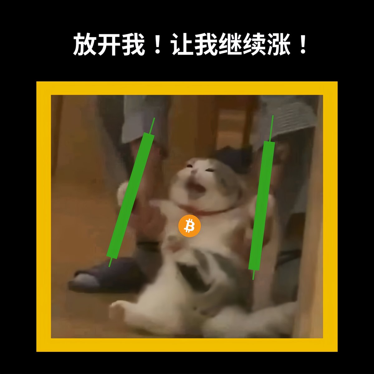 binancezh's tweet photo. Day 253，小编昨晚梦见BTC变成了小猫，手里还抱着两根大阳线，然后对我说： https://t.co/7mI2NI1612