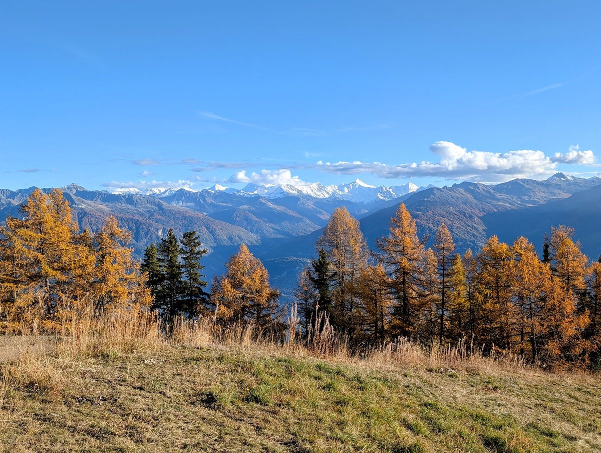 stackhodler's tweet image. You visualized this bull run.

You knew it was just a matter of time.

Sure we may need a sentiment reset before we cleanly break $100K, but it too will fall.

Then Bitcoin will begin its climb towards gold parity.

$1 million per coin will be normalized over the coming years.…