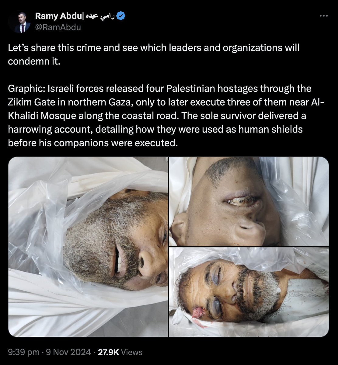 Muhammad Shehada tweet media