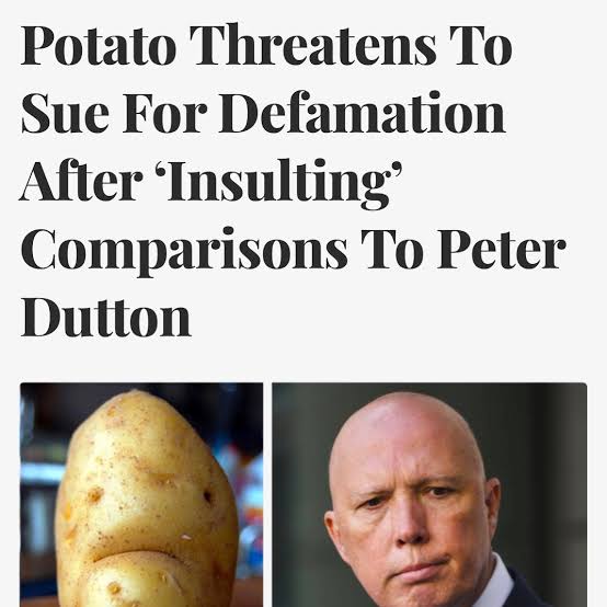 NeuKnowledg's tweet photo. @KobieThatcher Never vote for a potato is my deal breaker. https://t.co/BKnNYVbUqU