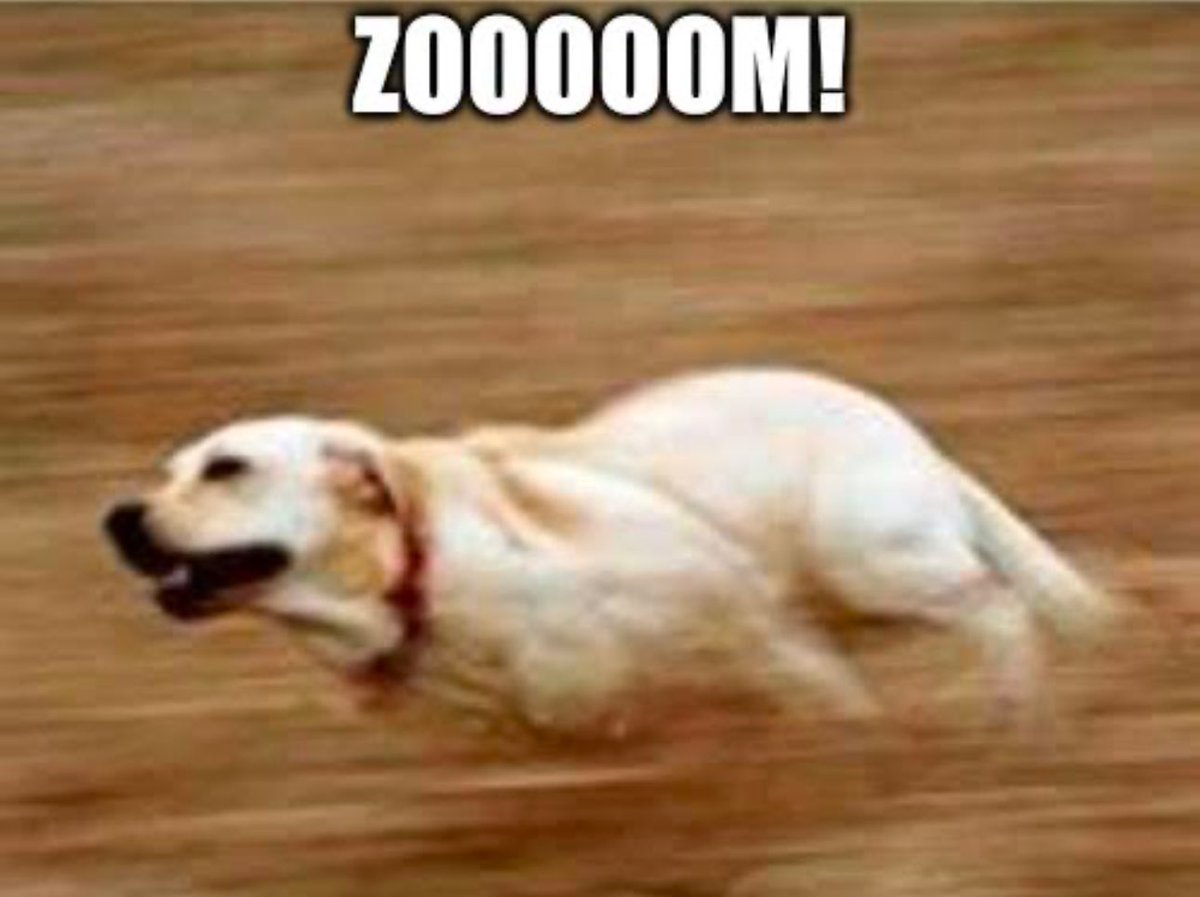 hft_trader's tweet photo. My Super-Fast Mevengine Trading Bot busy Frontrunning Proditable trades

while others they are Still moving their cursor slowly to click on a trade https://t.co/Q1MzKsUTEp