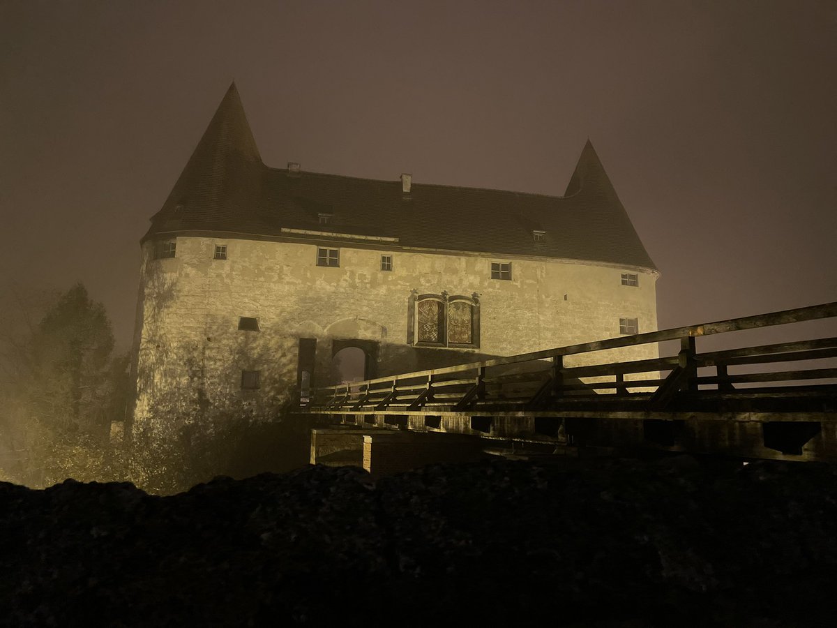 Shinyfluff 🌿🪬 tweet media