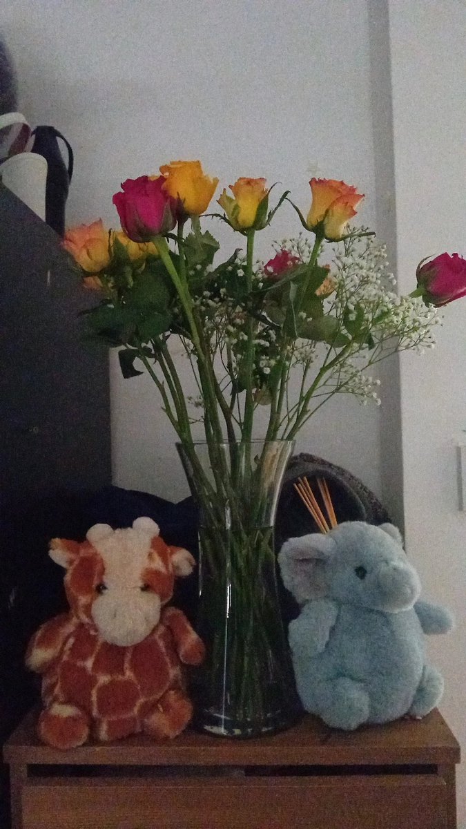 veenvss's tweet photo. he bought me flowers https://t.co/rwDx7057Op