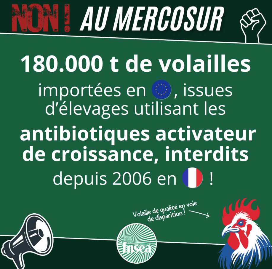 🚫 NON au MERCOSUR ! 🚫

Saviez-vous que 180 000 tonnes de volailles importées dans l'Union Européenne 🇪🇺 proviennent d’élevages utilisant des antibiotiques activateurs de croissance ? Ces substances sont interdites en France 🇫🇷 depuis 2006 !