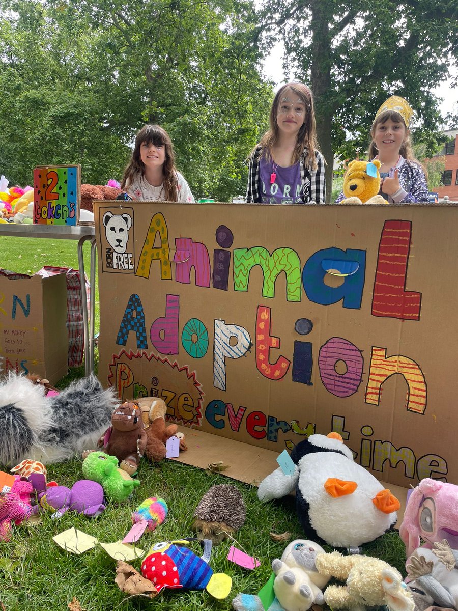 csmartie's tweet photo. ☀️ In July, Cora, Violet and Daisy ran a stall at @GGPrimarySchool Carnival! They chose to do an Animal Toy Adoption Tombola where kids won a pre-loved animal toy with an adoption certificate 🐅🐘🦒. 
They raised a brilliant £240 for @BornFreeFDN 👏🏼 
@GooseGreenPTA @smartyfish https://t.co/pco1Cv7Xu3