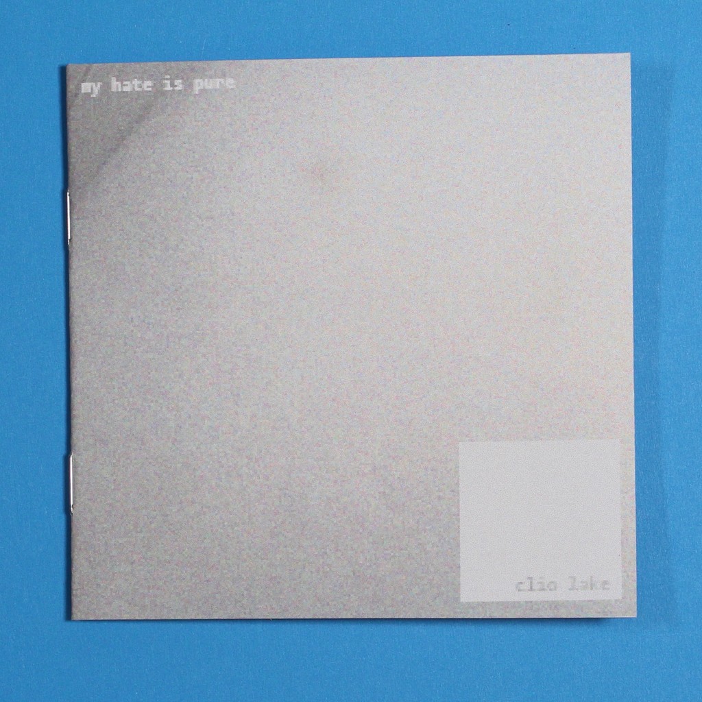 My Hate is Pure by Clio Lake (2024)⁠
A poetic meditation on desire and trans identity, with a pleasing, rough, pixelated texture, and a piquant, equally textured vibe.⁠
⁠
#ClioLake #PublicationStudioVancouver