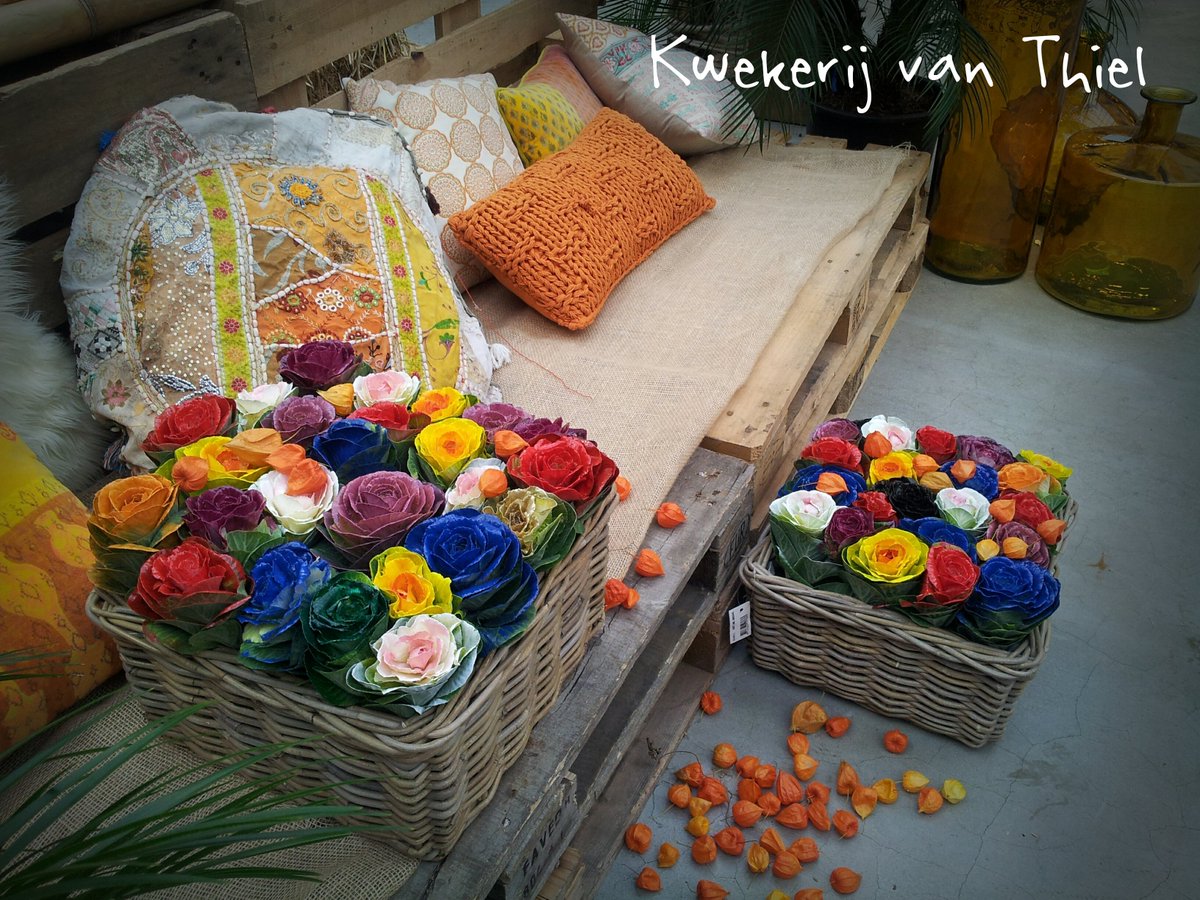 summerflowers.nl tweet media