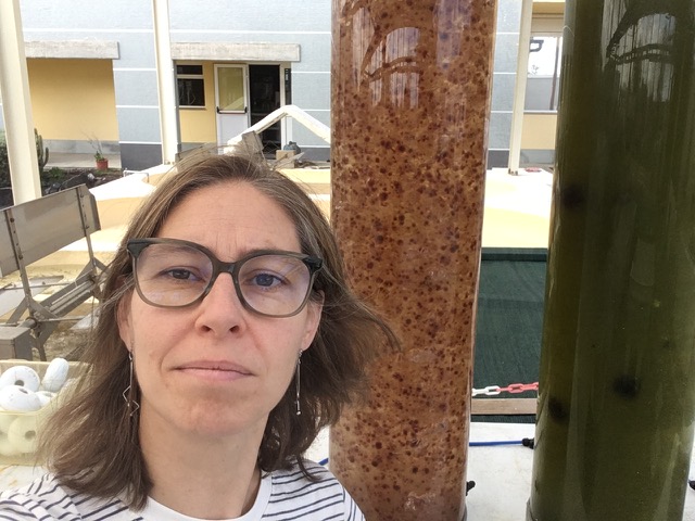 .<a href="/MArangurenG/">M. Aranguren-Gassis</a> estivo a visitar o <a href="/BEA_ULPGC/">Banco Español de Algas - Oficial</a>, grazas aos intercambios de investigadores no marco do #ProxectoEMBRedES+. 👇