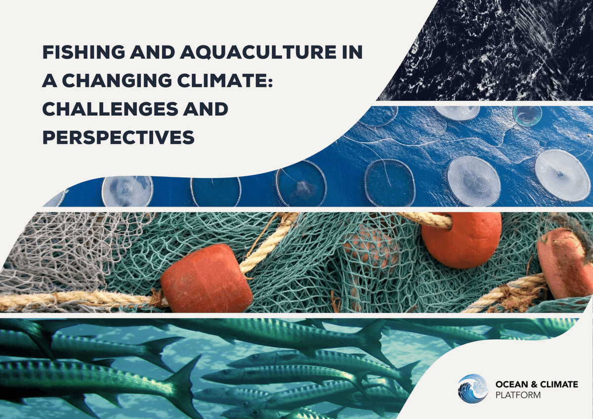 UN Ocean Decade (@unoceandecade) on Twitter photo Fisheries and aquaculture are on the frontlines of climate change.
Published by <a href="/ocean_climate/">Ocean & Climate Platform</a> ahead of #COP29Azerbaijan and endorsed by the #OceanDecade, "Fishing and Aquaculture in a Changing Climate" highlights adaptation pathways for both sectors.
👉ow.ly/gZYZ50U4Ve8 Fisheries and aquaculture are on the frontlines of climate change.
Published by <a href="/ocean_climate/">Ocean & Climate Platform</a> ahead of #COP29Azerbaijan and endorsed by the #OceanDecade, "Fishing and Aquaculture in a Changing Climate" highlights adaptation pathways for both sectors.
👉ow.ly/gZYZ50U4Ve8