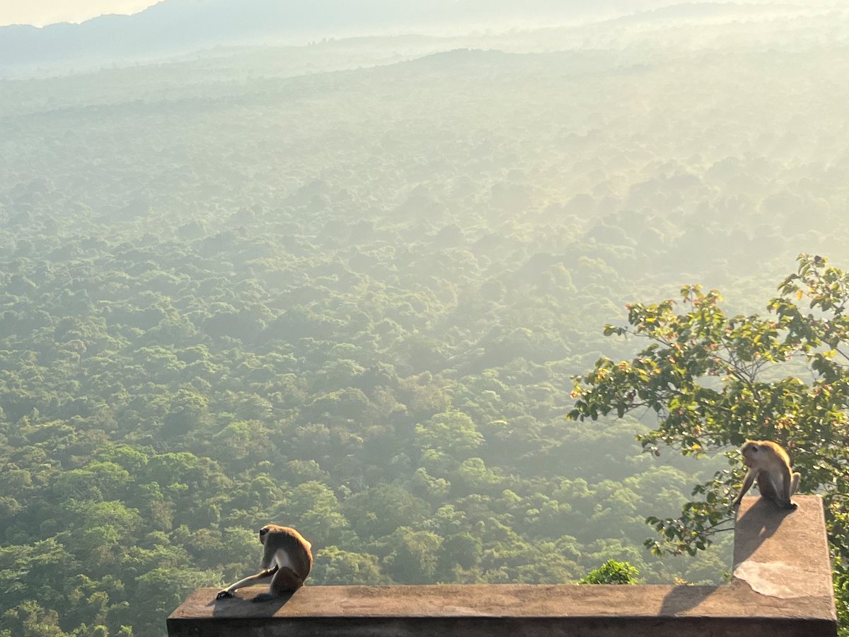 blinkx66's tweet image. 