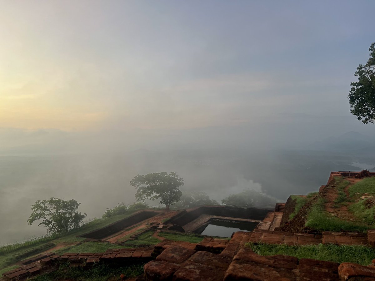 blinkx66's tweet image. 