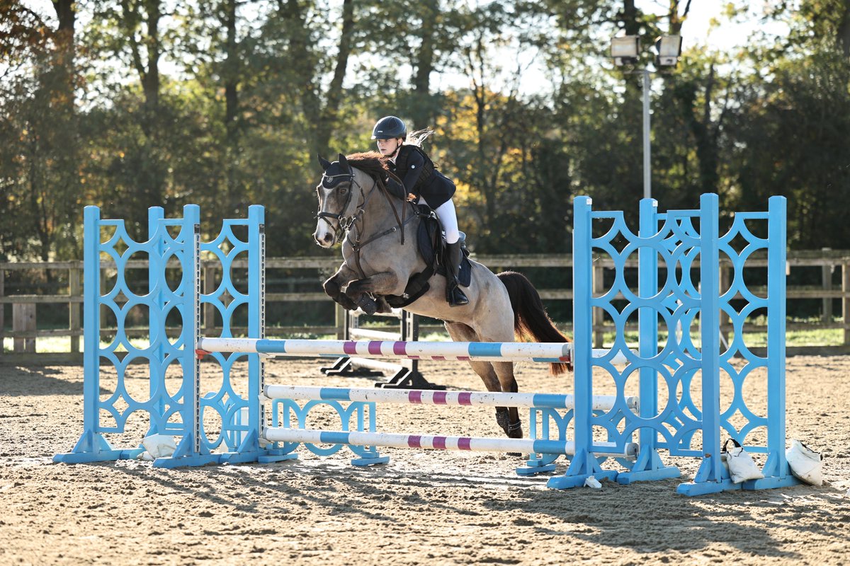 Pipers Equestrian tweet media